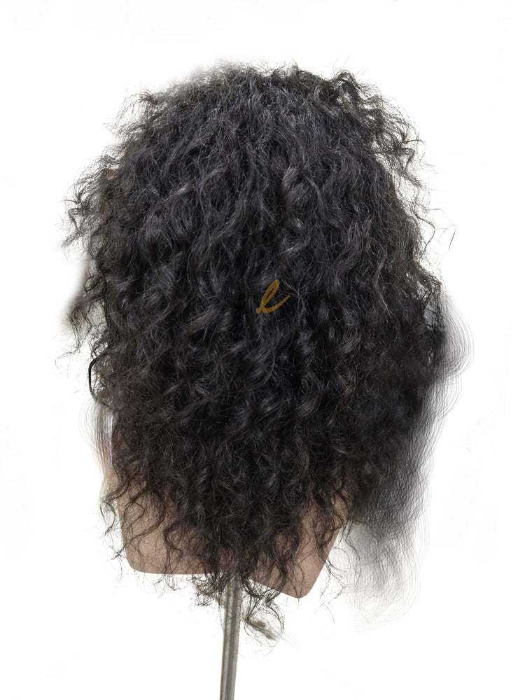 Front Lace Wig 150% Density - Natural Curly (HD Lace)