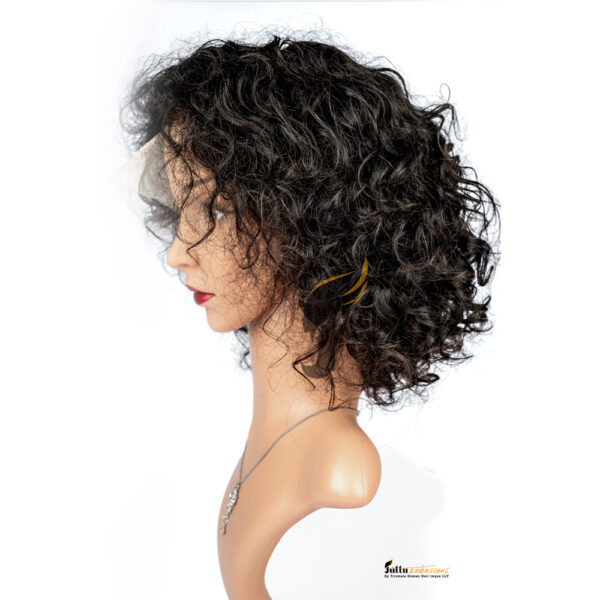 Natural Curly HD Lace Front Wig – 150% Density