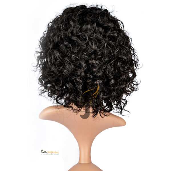 Natural Curly HD Lace Front Wig – 150% Density
