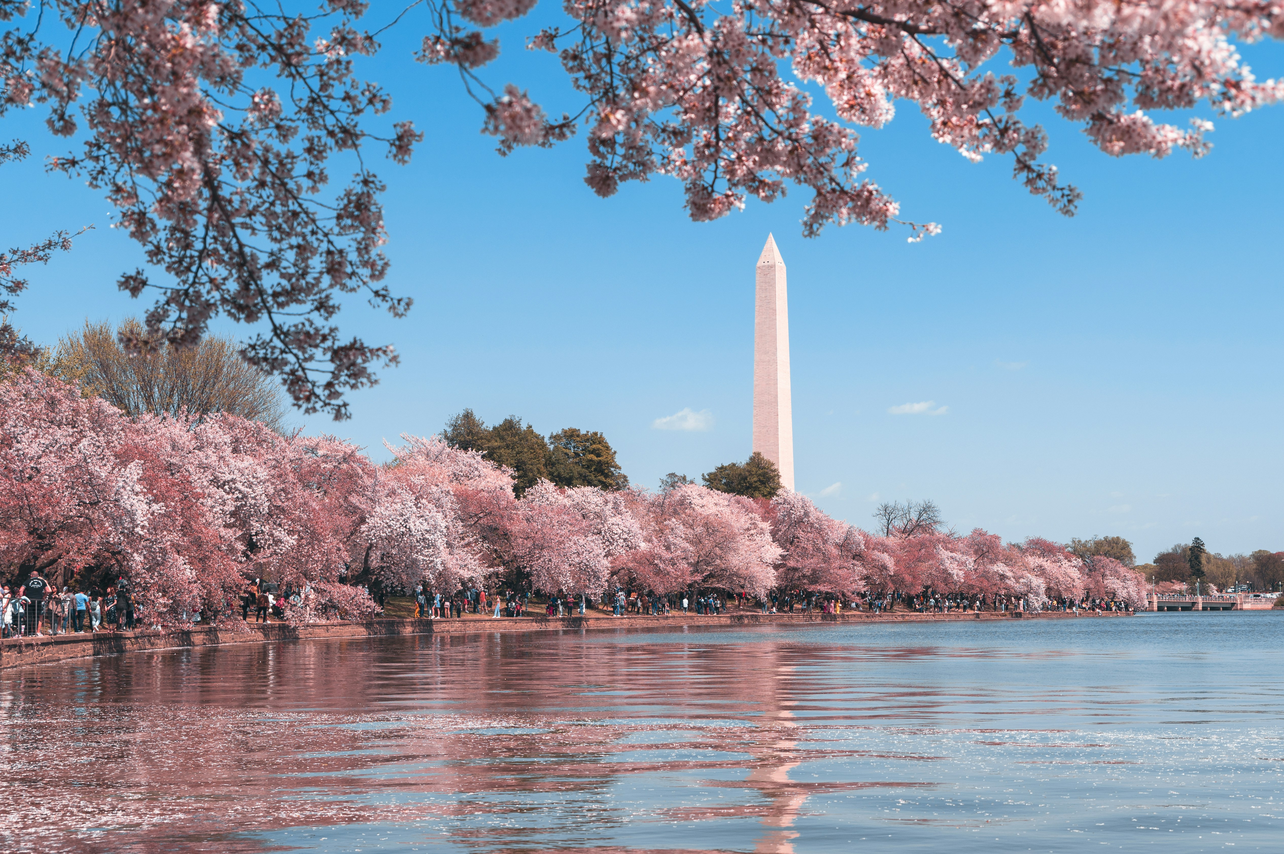 Wholesale Hair Extensions Washington DC